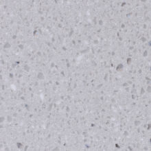 Tempest Silver Cloud