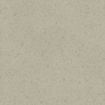 Sanded-Goose